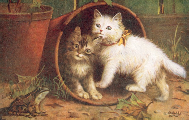 Macska képeslap (színes litográfia) alkotó: Bernard Cobbe