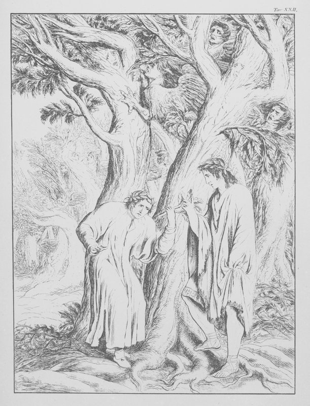 Dante Isteni komédiája, Inferno (Pokol), XXII. tábla (litográfia) alkotó: Bernhard Schuler