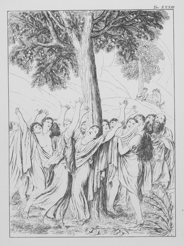 Dante Isteni komédiája, Purgatorio (Purgatórium), XXXIII. tábla (litográfia) alkotó: Bernhard Schuler