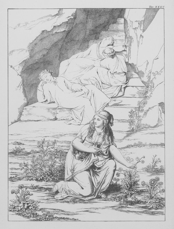 Dante Isteni komédiája, Purgatorio (Purgatórium), XXXV. tábla (litográfia) alkotó: Bernhard Schuler