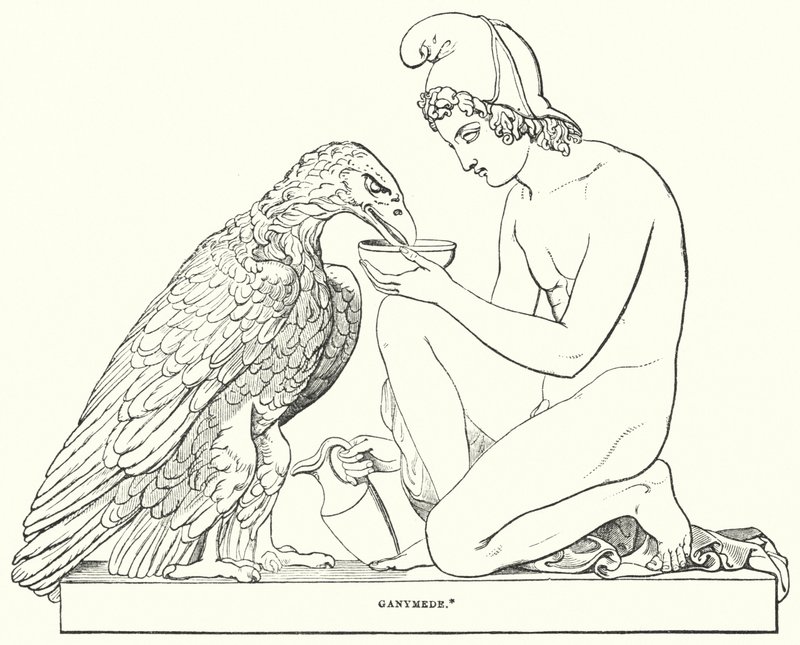 Ganymedes alkotó: Bertel after Thorvaldsen