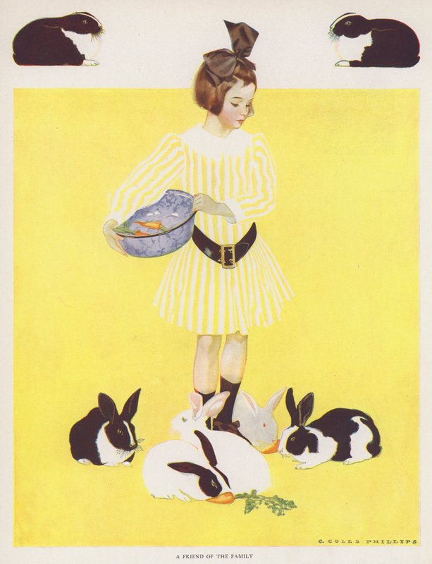 Coles Phillips lány, a család barátja (színes litho) alkotó: C. Coles Phillips