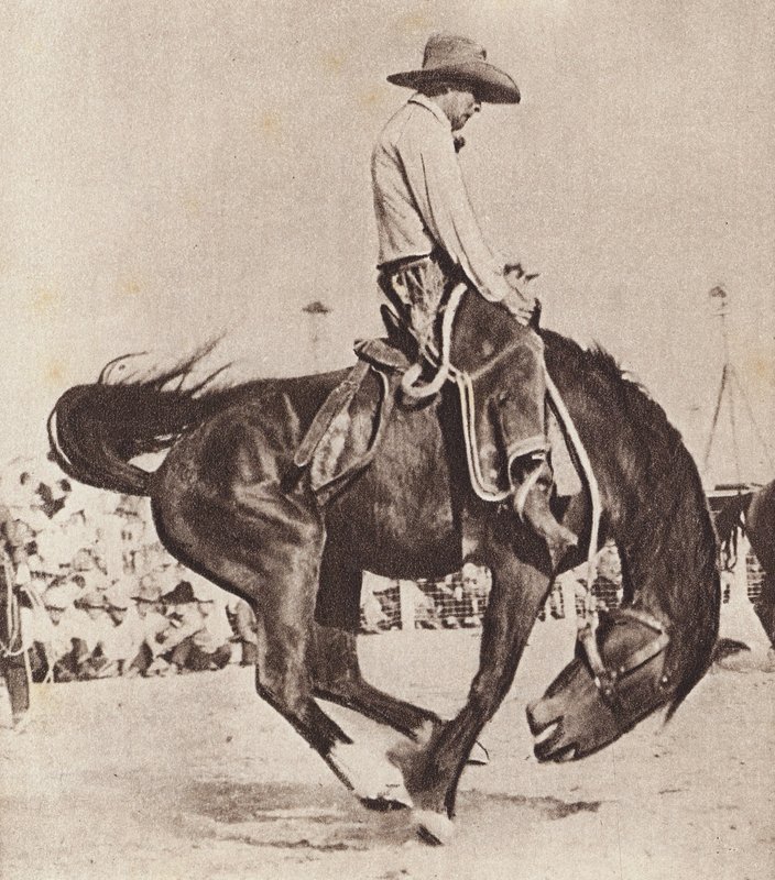 Cowboy lovagol egy bakancsos broncón (fekete-fehér fotó) alkotó: Canadian Photographer
