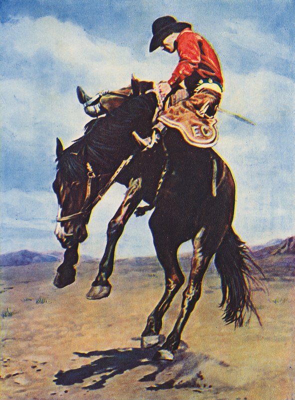 Cowboy lovagol egy lovas broncón (színes fotó) alkotó: Canadian Photographer