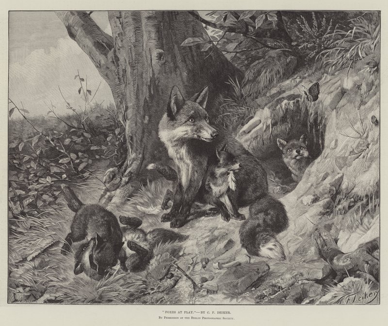 Foxes at Play alkotó: Carl Friedrich Deiker
