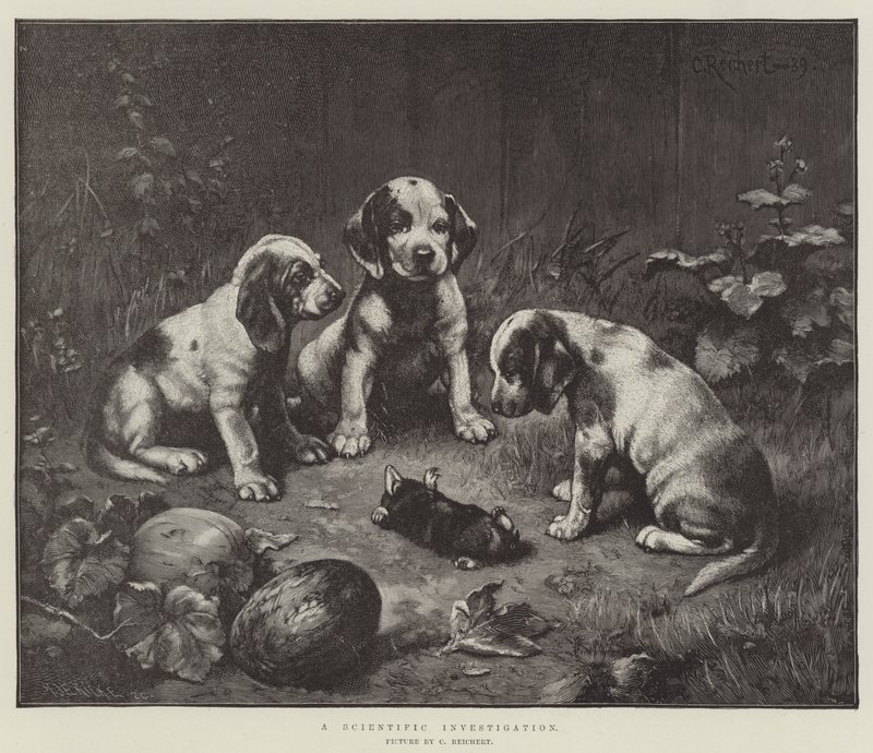 Tudományos vizsgálat alkotó: Carl Reichert