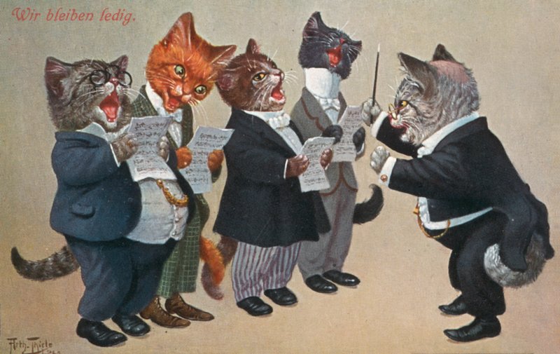 Humoros macskás képeslap (színes litográfia) alkotó: Carl Robert Arthur Thiele
