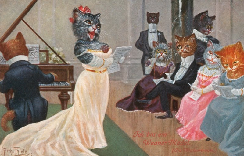 Humoros macskás képeslap (színes litográfia) alkotó: Carl Robert Arthur Thiele