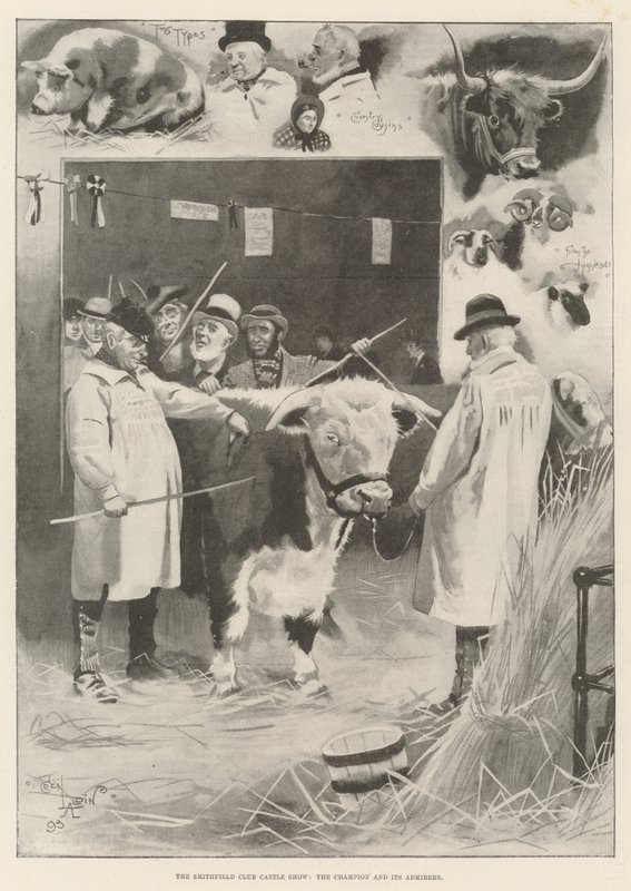 A Smithfield Club Cattle Show, a bajnok és csodálói alkotó: Cecil Charles Windsor Aldin