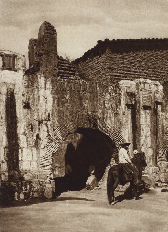 Mexikó: Oaxaca, Tuberia espanola (f/w fotó) alkotó: Cecile Seler Sachs