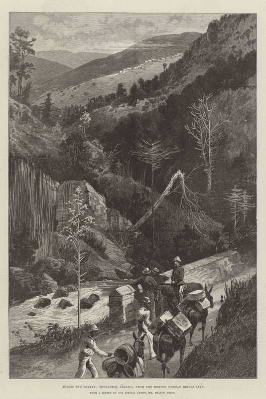 Két óceánon át, Newcastle, Jamaica, a Morton D