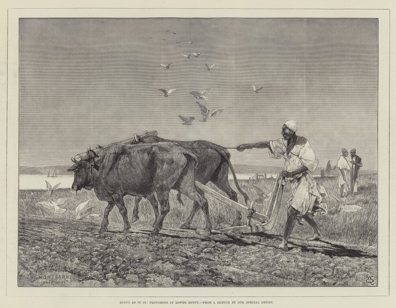 Egyiptom, ahogy van, szántás Alsó-Egyiptomban alkotó: Charles Auguste Loye