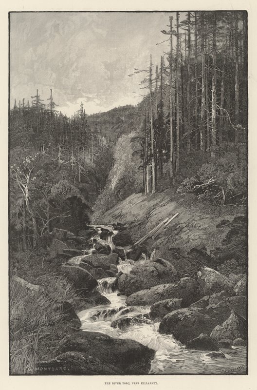 A Torc folyó, Killarney közelében alkotó: Charles Auguste Loye