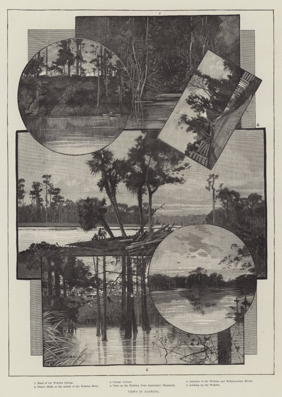Kilátások Floridában alkotó: Charles Auguste Loye