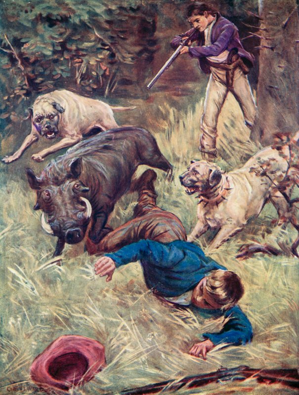Illusztráció a svájci Robinson családhoz alkotó: Charles Daniel Ward