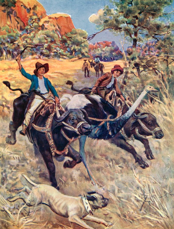 Illusztráció a svájci Robinson családhoz alkotó: Charles Daniel Ward