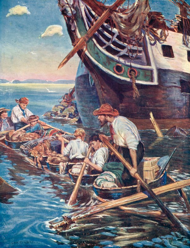 Illusztráció a svájci Robinson családhoz alkotó: Charles Daniel Ward
