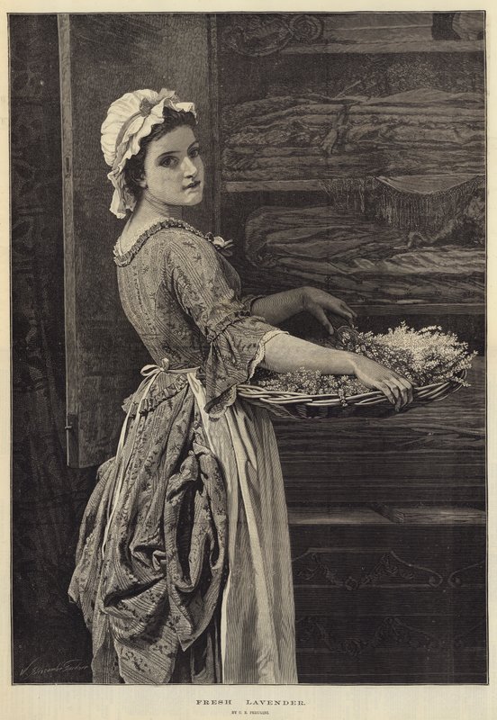 Friss Levendula alkotó: Charles Edward Perugini
