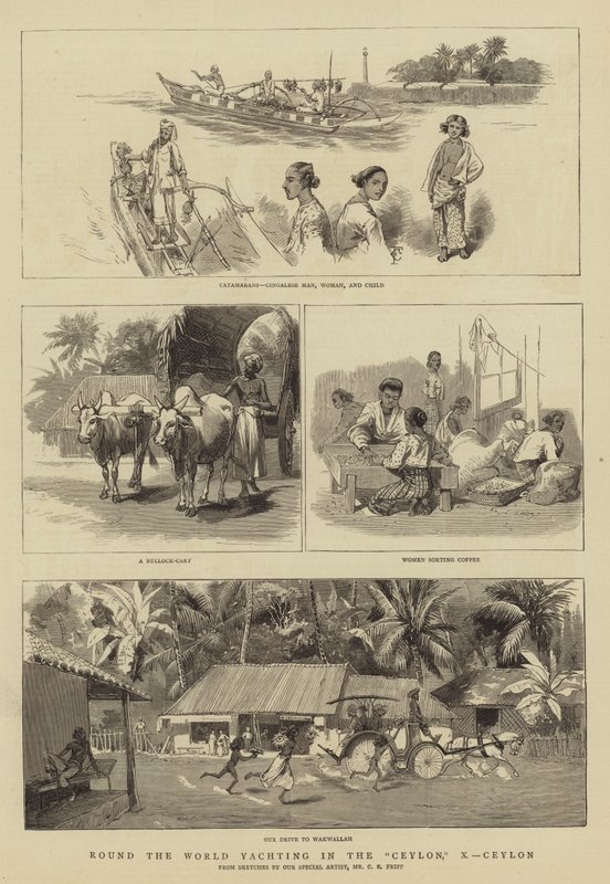 A világ körül vitorlázás Ceylonban, X, Ceylon alkotó: Charles Edwin Fripp