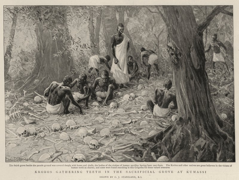 Krobos fogat szed a Kumasi áldozati ligetben alkotó: Charles J. Staniland