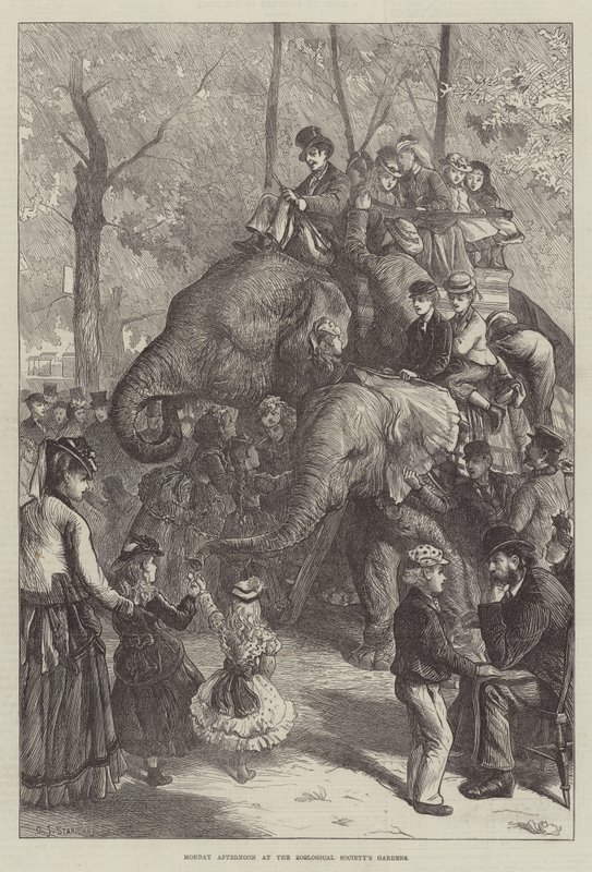 Hétfő délután az Állattani Társulat kertjében alkotó: Charles J. Staniland
