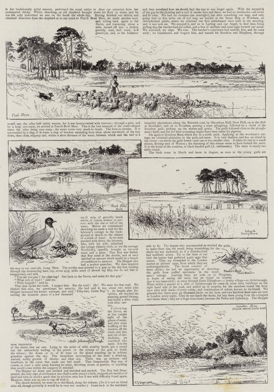 Norfolk Nooks alkotó: Charles J. Staniland