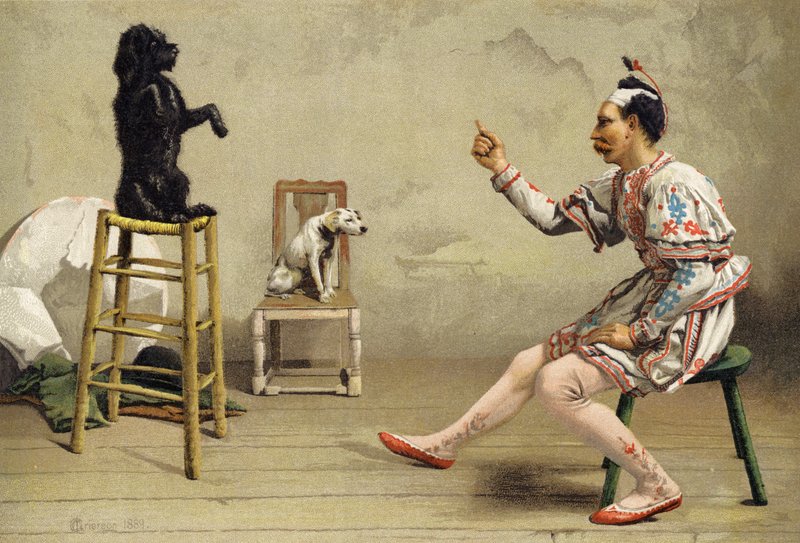 Tankötelezettség alkotó: Charles MacIvor or MacIver Grierson