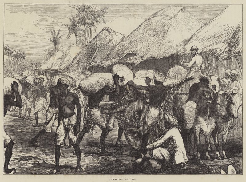 Bullock kocsik betöltése alkotó: Sir John Charles Robinson