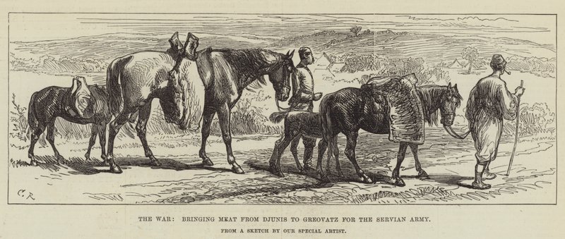 A háború, amely Djunisból hozott húst Greovatzba a szolga hadsereg számára alkotó: Sir John Charles Robinson