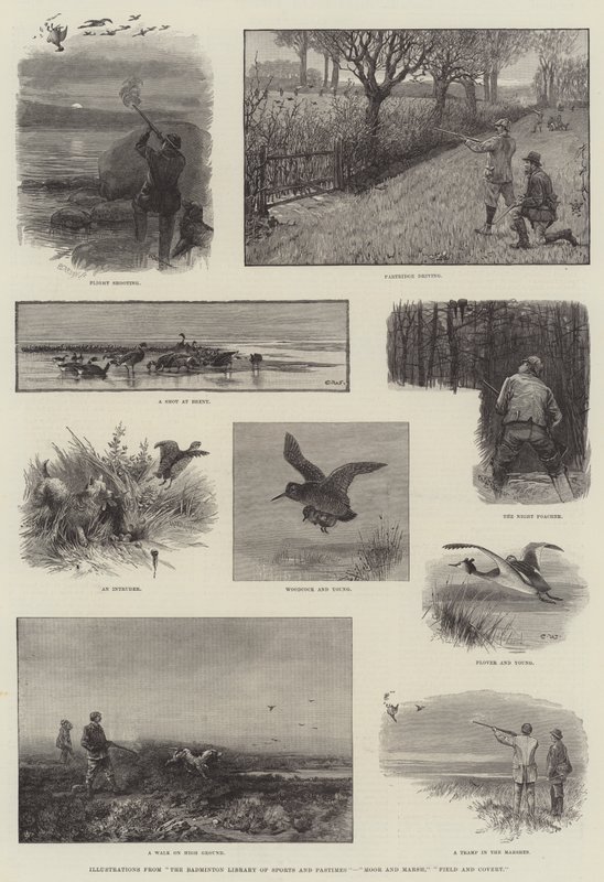Illusztrációk: The Badminton Library of Sports and Patimes, Moor and Marsh, Field and Covert alkotó: Charles Whymper