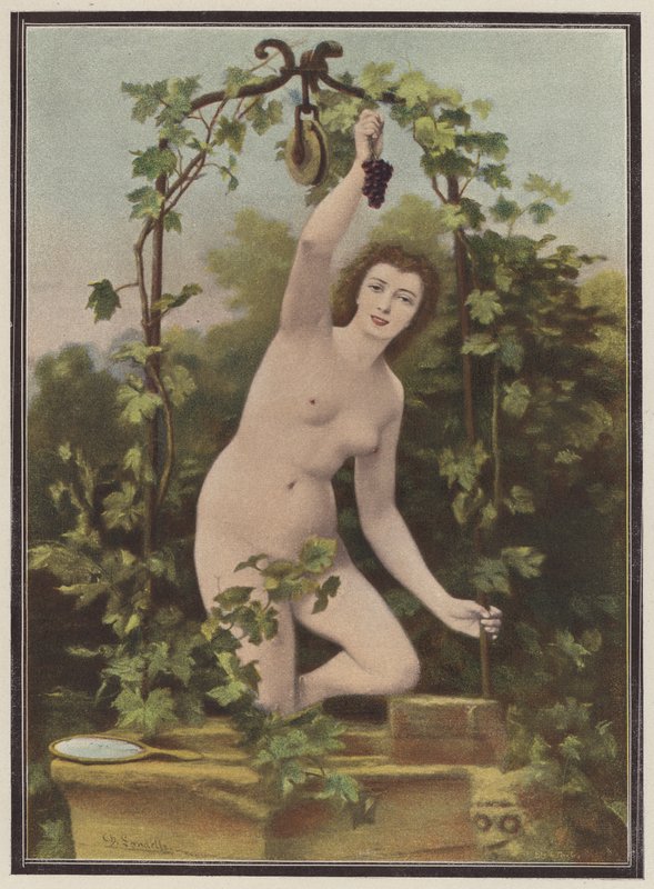 Nő szőlőt szed a szőlőből (színes litho) alkotó: Charles (after) Landelle