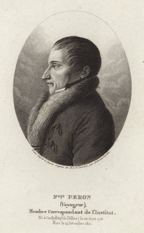 Francois Peron alkotó: Charles Alexandre Lesueur