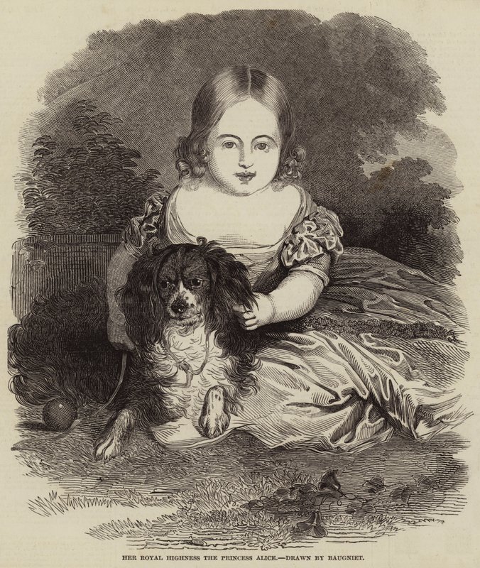 Ő királyi felsége Alice hercegnő alkotó: Charles Baugniet