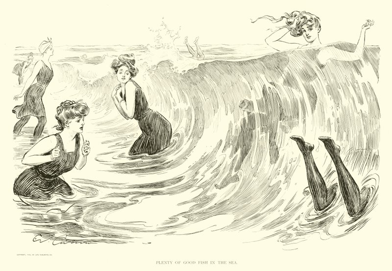 Illusztráció: The Social Ladder (metszet) alkotó: Charles Dana Gibson