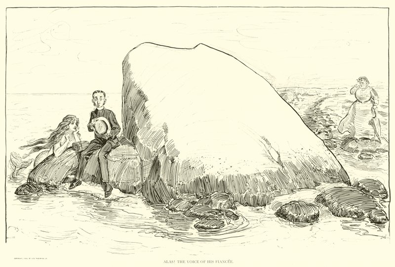 Illusztráció: A társadalmi létra alkotó: Charles Dana Gibson