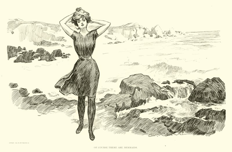 Illusztráció: A társadalmi létra alkotó: Charles Dana Gibson