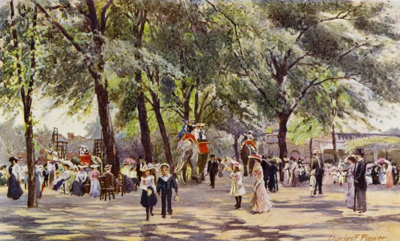 Londoni Állatkert: Broad Walk, elefántokkal (színes litho) alkotó: Charles Edwin Flower