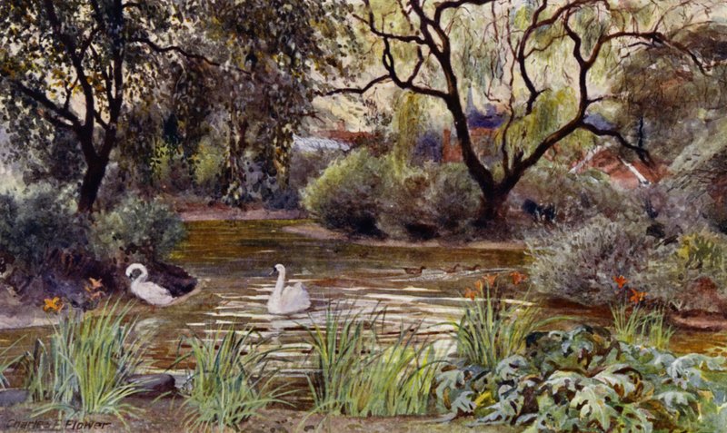 Londoni Állatkert: Three Island Pond (színes litho) alkotó: Charles Edwin Flower