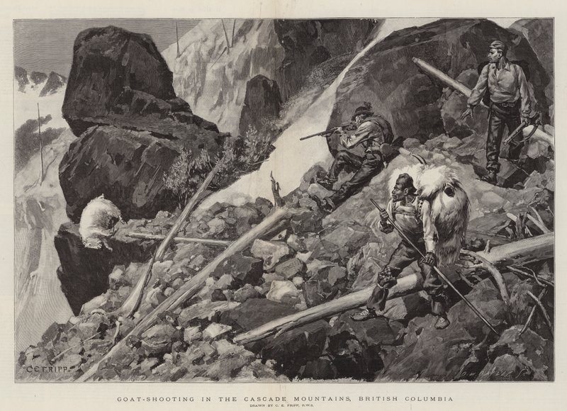 Kecskelövés a Cascade-hegységben, British Columbia alkotó: Charles Edwin Fripp