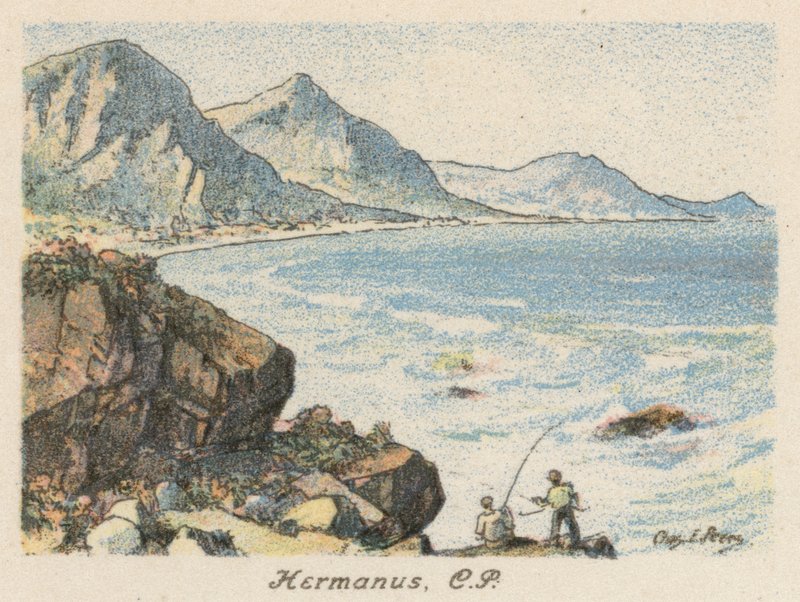 Dél-Afrika: Hermanus, CP (színes litográfia) alkotó: Charles Ernest Peers