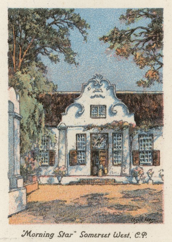 Dél-Afrika: "Morning Star", Somerset West, CP (színes litográfia) alkotó: Charles Ernest Peers