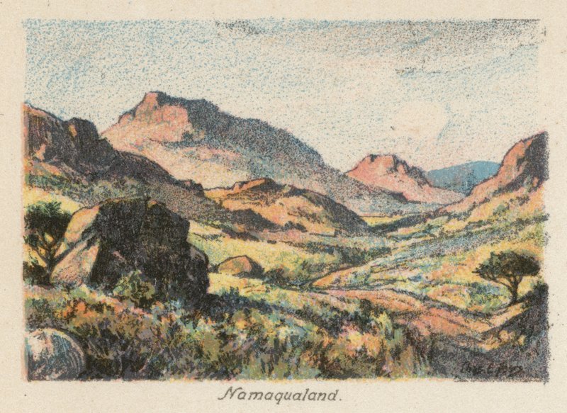 Dél-Afrika: Namaqualand (színes litográfia) alkotó: Charles Ernest Peers