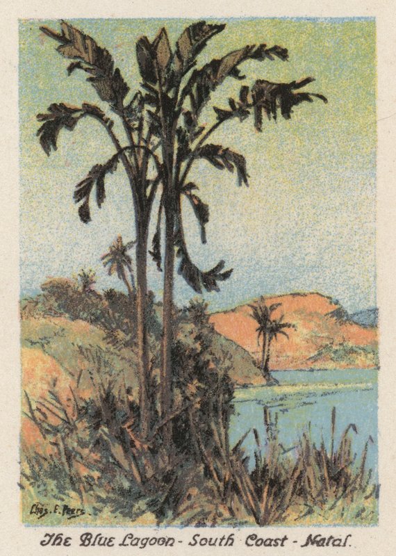 Dél-Afrika: Natal (színes litográfia): Kék lagúna, déli part, Natal (színes litográfia) alkotó: Charles Ernest Peers