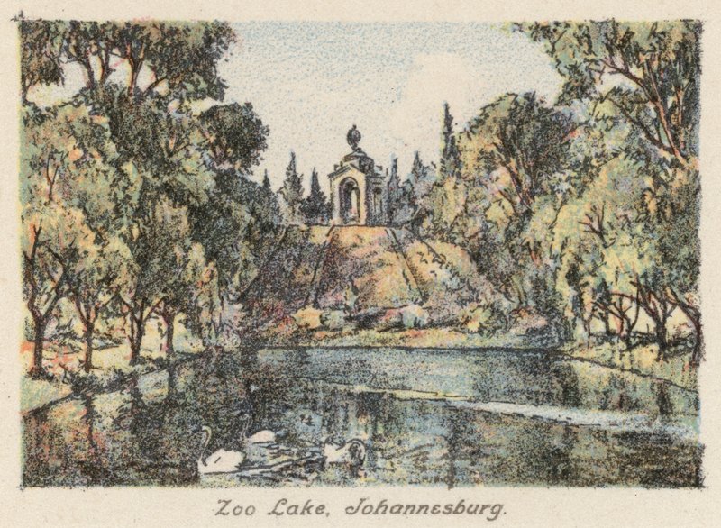Dél-Afrika: Zoo Lake, Johannesburg (színes litográfia) alkotó: Charles Ernest Peers