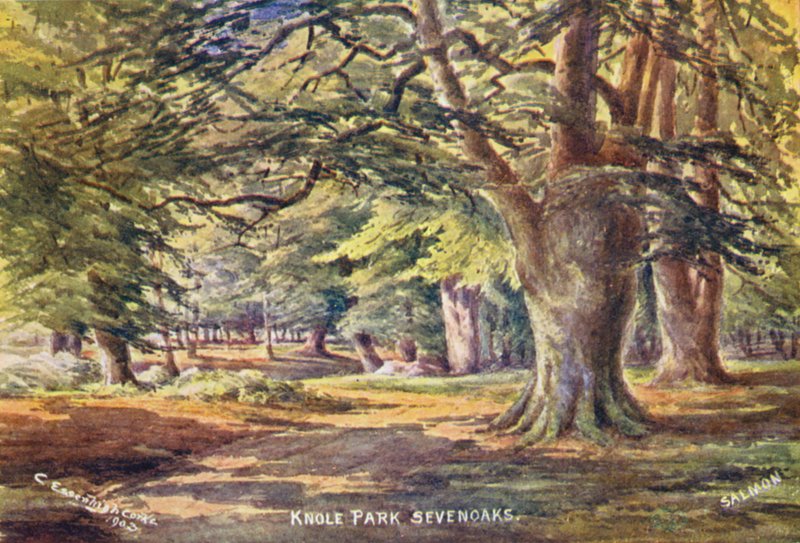 Knole House: Bükkfák a parkban (színes litográfia) alkotó: Charles Essenhigh Corke