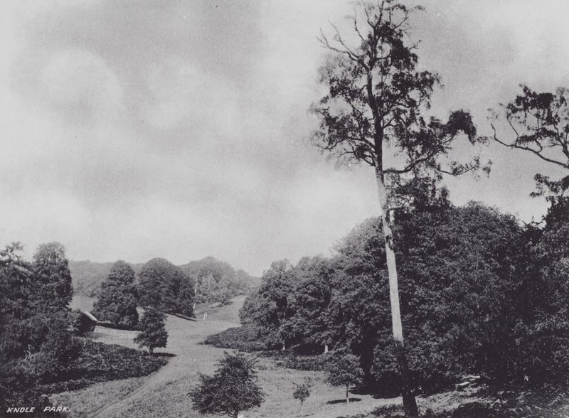 Knole Park (f/w fotó) alkotó: Charles Essenhigh Corke
