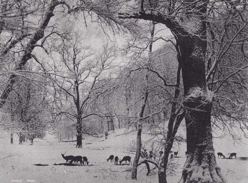 Knole Park (f/w fotó) alkotó: Charles Essenhigh Corke