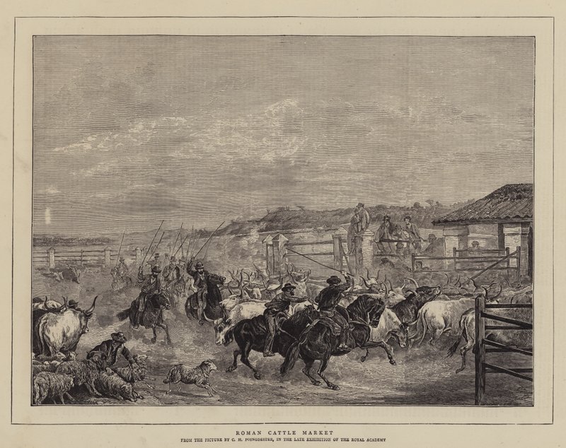 római marhapiac alkotó: Charles H. Poingdestre