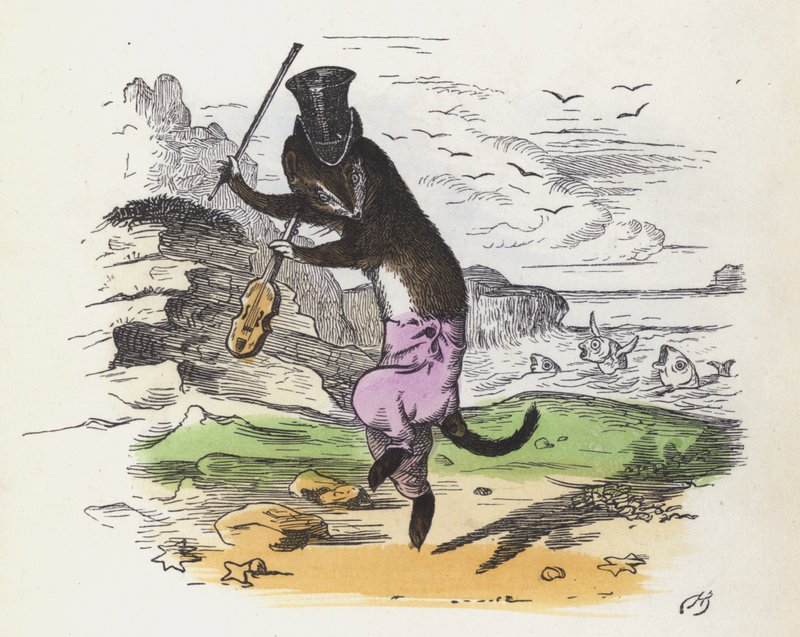 Hegedűn játszó és táncoló francia menyét (színes metszet) alkotó: Charles Henry (after) Bennett