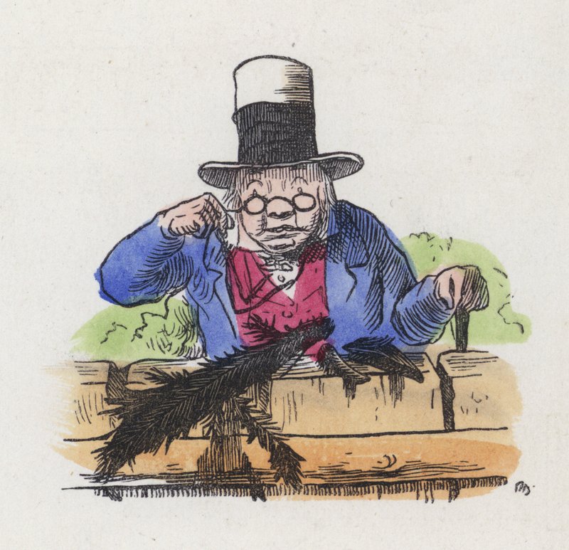 Két szarka maradványai egy kerti kerítésen (színes metszet) alkotó: Charles Henry (after) Bennett